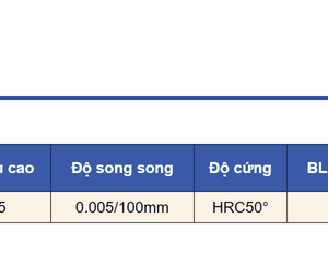 Bảng thông số thước sin VS-100