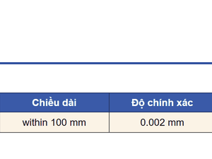 Bảng thông số thiết bị đo độ đảo VERTEX VRT-25 gồm phạm vi, chiều dài, độ chính xác và kích thước